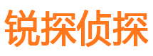 文县侦探公司